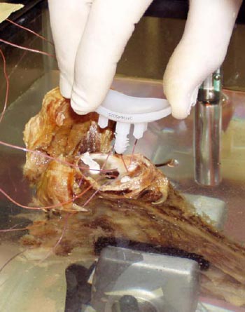 Thermocouple Measurements Profile Cement Curing